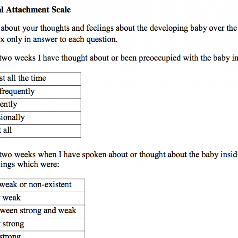 Material Antenatal Attachment Scale (MAAS) – PDF