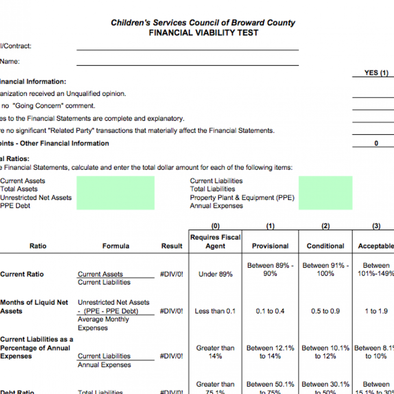 Financial Viability Test – Excel