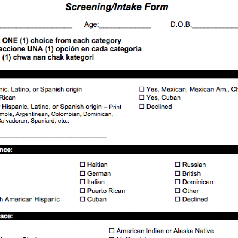 Demographic Sample Provider Intake Form