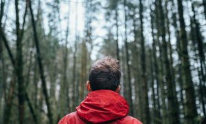 Youth Suicide - The Reasons Why?